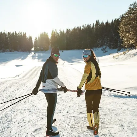 Alpennest, Sauna & Relaxation - An Alpenluxus Appartement, Seefeld In Tyrol